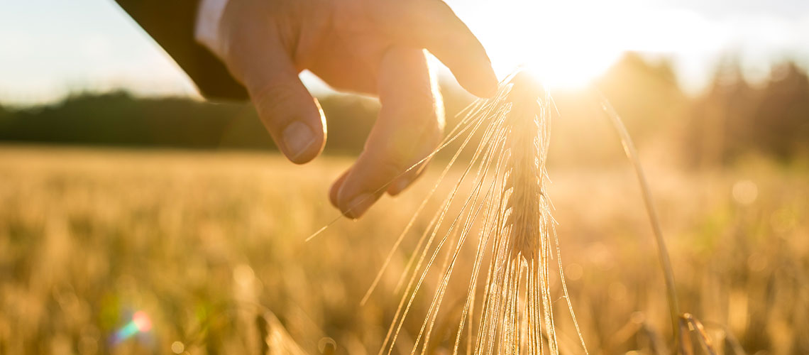 Dr. Machatschke Immobilien